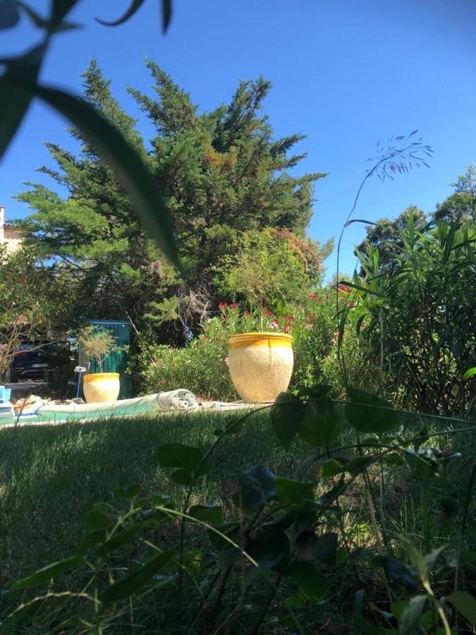 B&B Oasis Des Lavandes - Chambre Coqueliot Villeneuve-les-Avignon Exterior photo