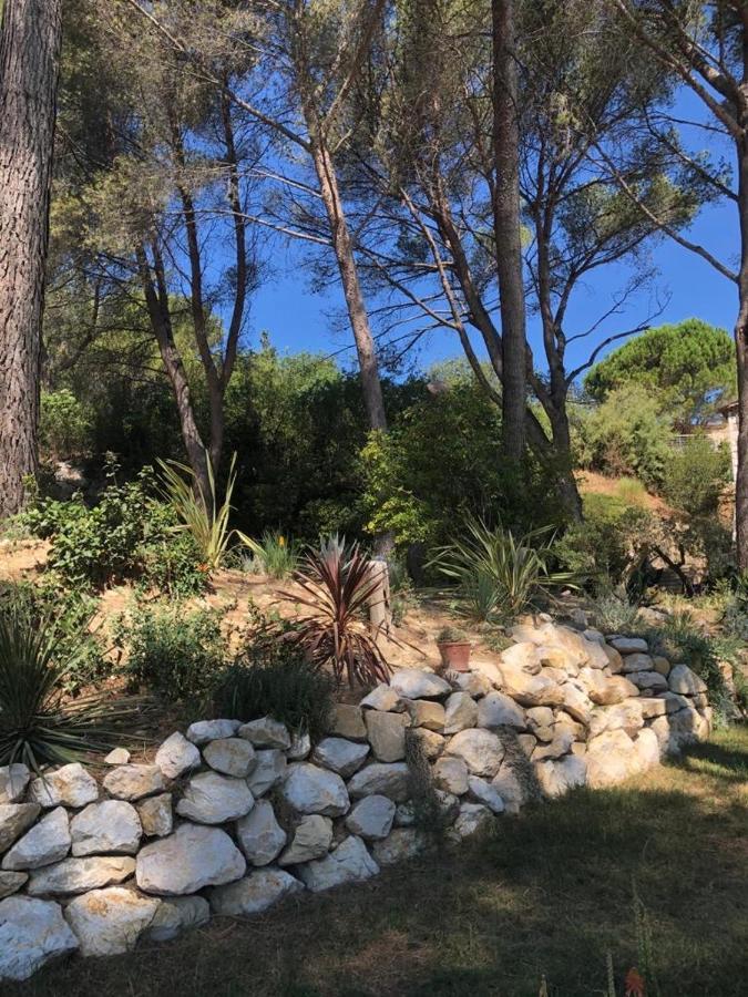 B&B Oasis Des Lavandes - Chambre Coqueliot Villeneuve-les-Avignon Exterior photo