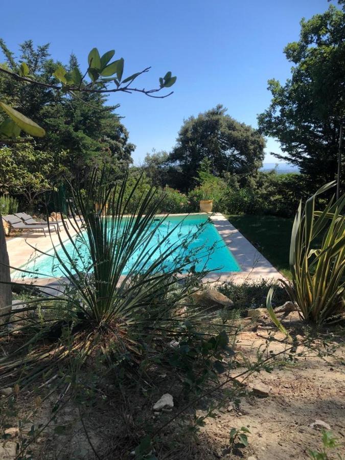 B&B Oasis Des Lavandes - Chambre Coqueliot Villeneuve-les-Avignon Exterior photo